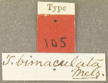 Media type: image;   Entomology 105 Aspect: labels